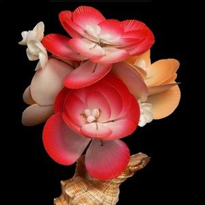 10” Seashell flower arrangement